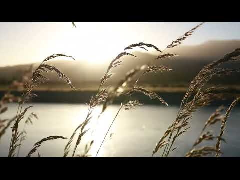 2 MINUTES RELAXING MUSIC 🧘🏽‍♂️ #relaxing