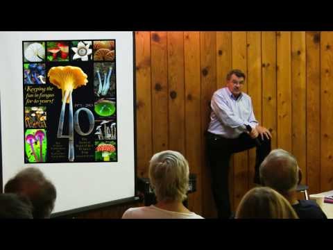 download lagu mp3 mp4 Ffsc, download lagu Ffsc gratis, unduh video klip Ffsc