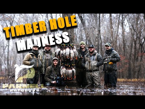 INSANE Kansas Flooded Timber Duck Hunt!! (IN THE TREES)