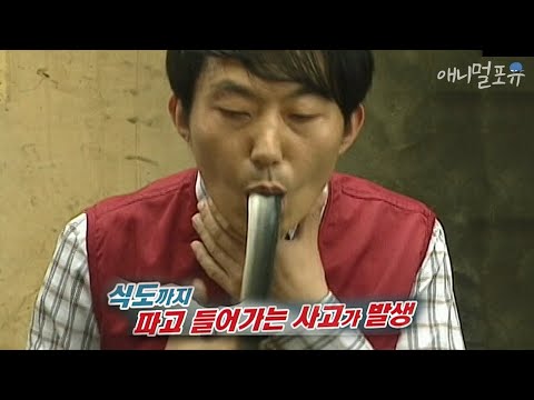 , title : '갑자기 장어가 튀어오르더니 제 입 속으로...(!!) | KBS 위기탈출넘버원 110627 방송'