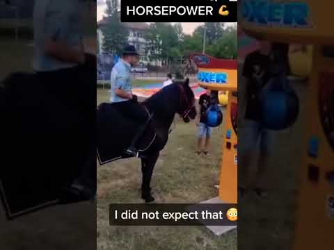 HORSE VS PUNCH MACHINE - who will Win?! 🤔 #shorts #viral #subscribe #fy #goviral #youtubeshorts