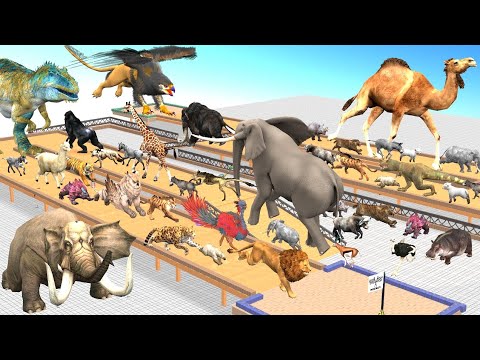 Ultimate Race 40 Wild Animal vs Prehistoric Mammals Speed Race Run Zigzag Down Course! Arbs tv