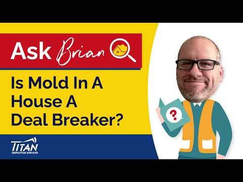 Ask Brian: Is Mold In A House A Deal Breaker? - Titan Inspection Services