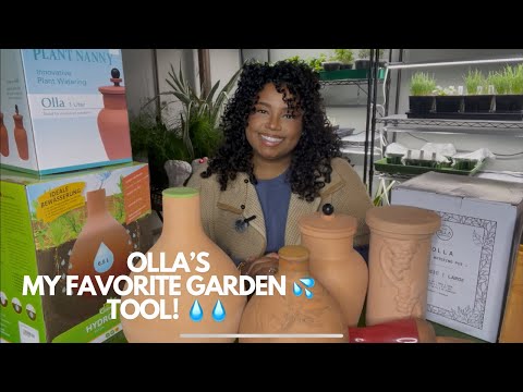 No irrigation no problem! Olla’s my favorite garden tool! #ollas #gardening #garden #hack #water
