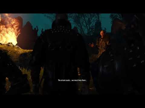 The Witcher 3 First playthrough pt 14