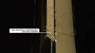 BTR301 Student Bb Trumpet with Gold-Brass Leadpipe - Lacquered