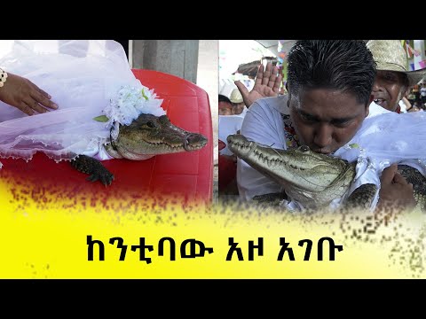 ከንቲባው አዞ አገቡ