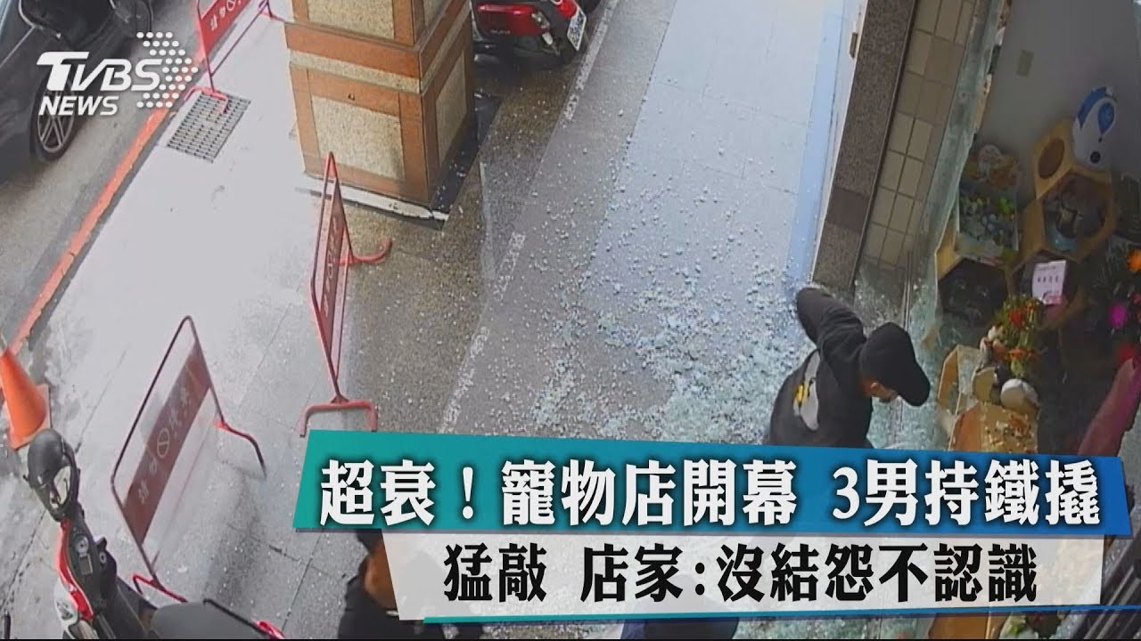 超衰!寵物店開幕3男持鐵撬猛敲 店家:沒結怨不認識
