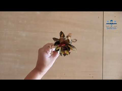 flower craft reuse of Hamour icecream wrapper @spruhaindu