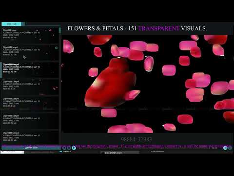 Flowers & Petals - 151 transparent Visuals