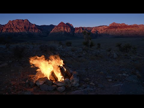 4K Sunrise Campfire in the Mountains  – Fireplace Ambience Sounds