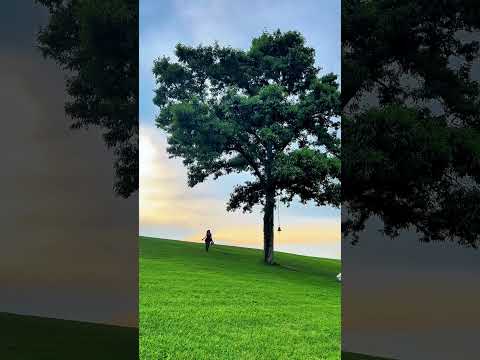 死ぬまでに行きたい絶景スポット3選【栃木県編】#栃木県 #栃木 #絶景 #絶景スポット #観光 #旅行 #国内旅行 #観光スポット