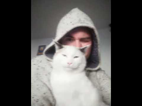 Awen Liva K & Jordy-In your eyes