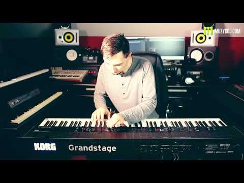 Korg Grandstage 73-Key Digital Piano 2017 - Present - Black image 12