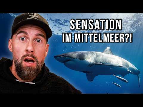 ERSTER Weißer Hai im Mittelmeer GEFILMT?! | Robert Marc Lehmann reagiert
