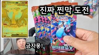 에그몬스터에서 금자몽 MUR 도전합니다