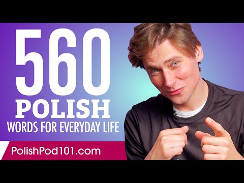 560 Polish Words for Everyday Life - Basic Vocabulary #28