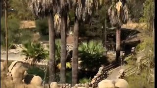 Warner Springs Racism