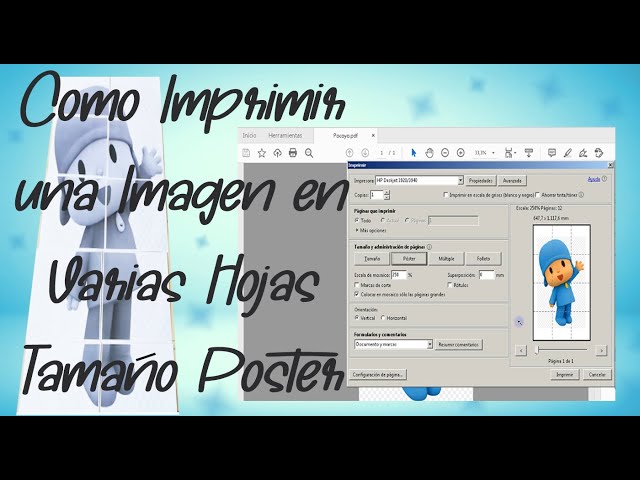 Vídeo relacionado con Lumalea 3617682450633 - Póster tríptico (3 carteles, 70 x 100 cm), diseño de flores