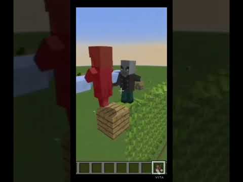Vindicator VS Villager #minecraft