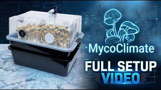 The MycoClimate™ Automated Monotub FULL Setup Video