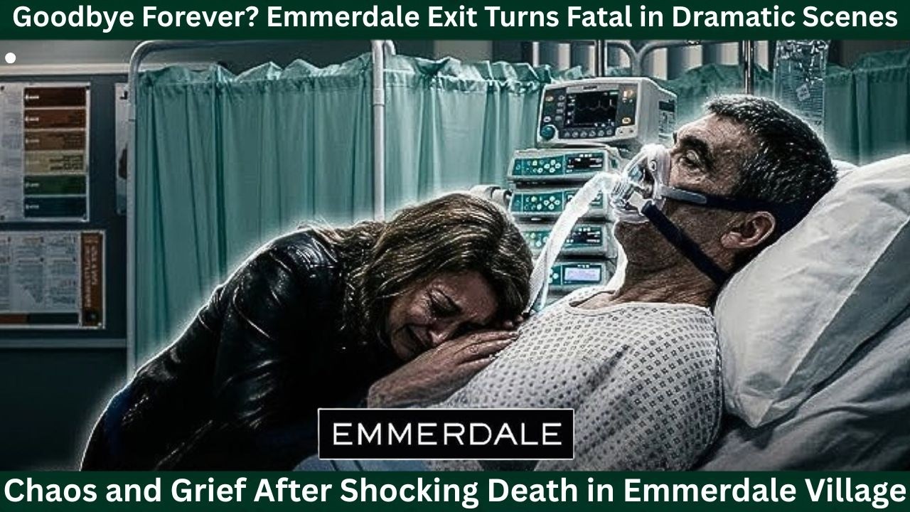 YouTube Thumbnail Downloader FULL HQ IMAGE