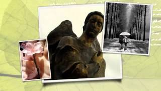 Amor Amigo || Milton Nascimento