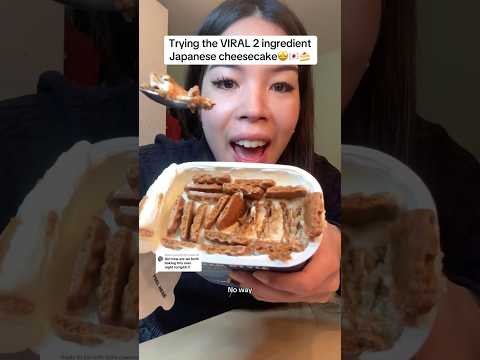 TRYING THE VIRAL 2 INGREDIENT JAPANESE CHEESECAKE 🇯🇵