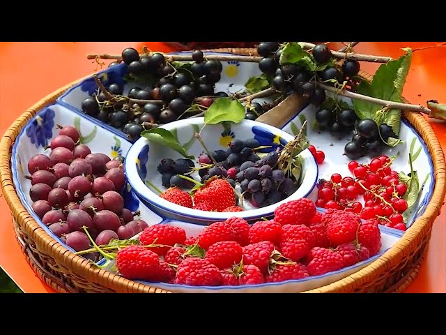 «В центре внимания» выпуск №202