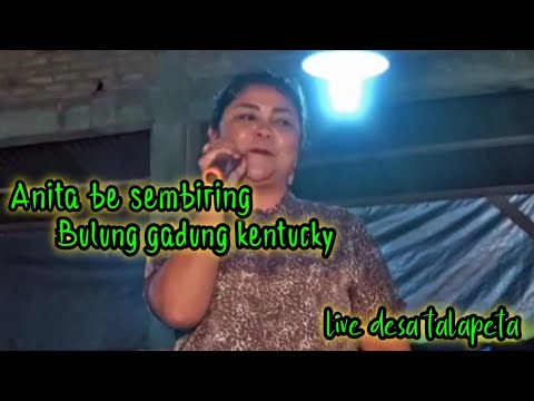LAGU KARO | Anita br Sembiring | Bulung Gadung Kentucky