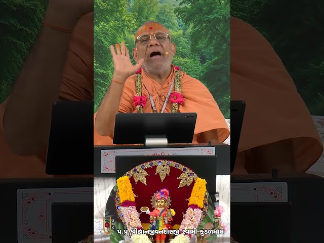 ૪ પ્રકારની મમતાને દિવ્ય બનાવો
