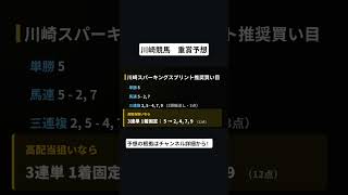 競馬予想　川崎スパーキングスプリント　　推奨買い目