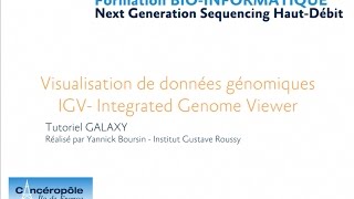 Formation NGS: Visualisation de données génomiques par IGV (Integrated Genome Viewer)