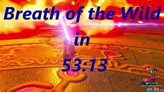 Breath of the Wild Any% Speedrun in 53:13