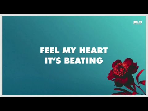 Arlow - Freefall [Muslyrics ID]