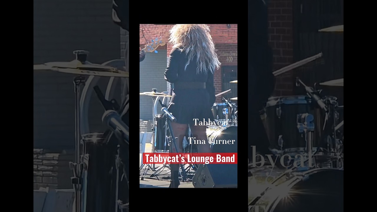 Promotional video thumbnail 4 for Tabbycat