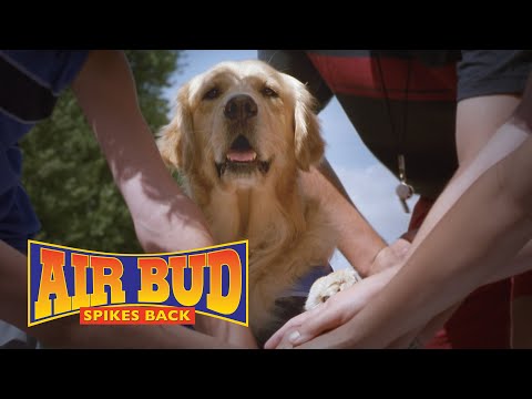 AIR BUD: SPIKES BACK Movie - Brasil version