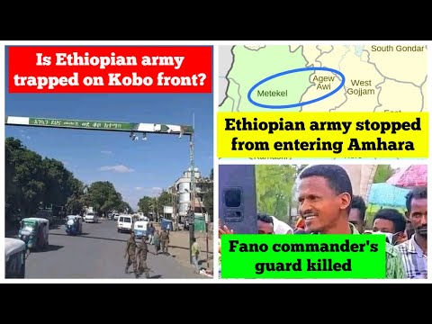 Ethiopian army trapped in Kobo? | Fano commander's guard killed | ENDF stopped from entering Amhara