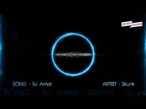 DJ Skunk - Tu Amor (Original Mix)