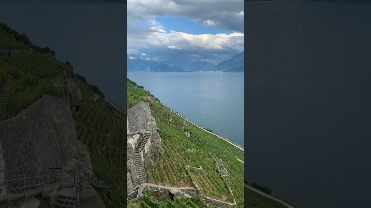 YouTube Short thumbnail