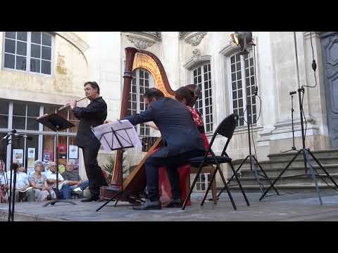 Jean-Baptiste Krumpholtz (1742-1790) : Allegro de la Sonate n°5 pour flûte & harpe en Fa Majeur