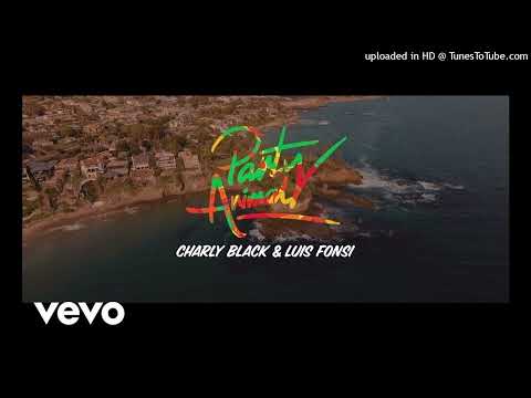 Charly Black_ Luis Fonsi - Party Animal_160K)