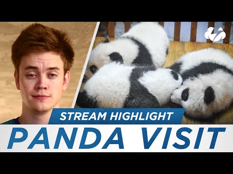 Reynad Goes To The Zoo [Funny Reynad Stream Highlights]
