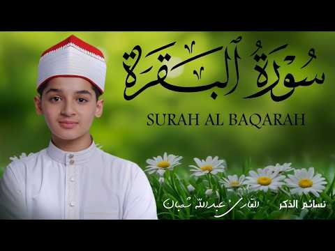 سورة البقرة كاملة || لطرد الشياطين وتحصين المنزل || الطفل القارئ عبدالله شعبان ||  Surat Al Baqarah