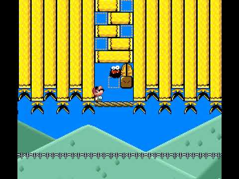 Blind Kaizo Race - Week 107 Level by CatCat