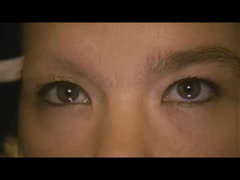Drawing Restraint 9 official trailer still featuring the Nisshin Maru whaling vessel