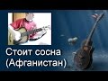 Песни под гитару. Стоит сосна (Афганистан) 