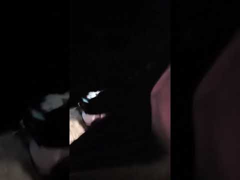 Nadeem saal ki shaadi Mein ladai