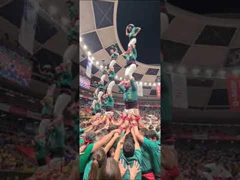 video-cover