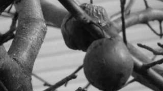 our last day as children